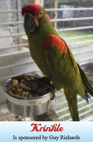Krinkle 